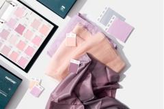 Pantone® Textile - Fashion & Home TCX (Cotton swatches)