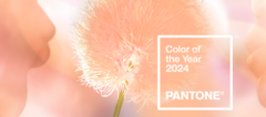 Pantone® Color of the Year 2024