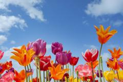 Color & Trend Information Spring/Summer 2027