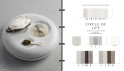 A+A Concept | Color Trends 24.2