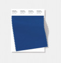 Pantone® TCX SWATCH  (10 x 20 cm)