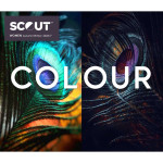 Scout WOMEN 26/27 | Colour & Concept
