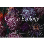 Luminary #32| - Color Ecology A/W 2026-27