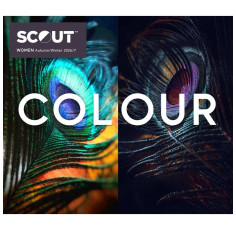 Scout WOMEN 26/27 | Colour & Concept