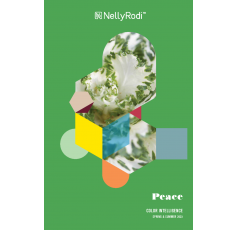 Nelly Rodi Color Intelligence SPRING-SUMMER 2023