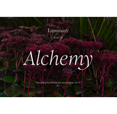 Luminary #34| - Alchemy A/W 2027-28