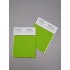 Pantone® TCX Swatch Mini Cards (2 stuks, 5 x 10 cm)