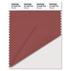 Pantone® TCX SWATCH  (10 x 20 cm)