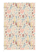 Minicool Baby & Kids SS 2027