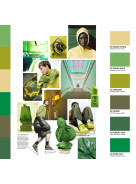 Scout Colour & Concept CASUAL + YOUTH + KIDS AW 27/28