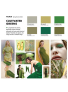 Scout WOMEN | Colour & Concept SS 28 + Online access