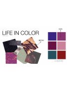 A+A Life in Color | Color & Lifestyle 23.2 