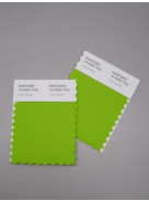 Pantone® TCX Swatch Mini Cards (2 stuks, 5 x 10 cm)