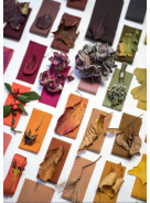 Luminary Colour Medicine A/W 22/23