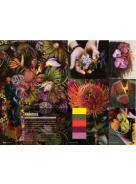 Nelly Rodi Color Intelligence SPRING-SUMMER 2023