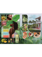 Nelly Rodi Beautylab SPRING-SUMMER 2023