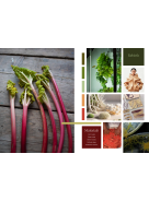 Luminary #32| - Color Ecology A/W 2026-27