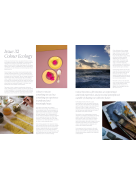 Luminary #32| - Color Ecology A/W 2026-27