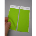 Pantone® TCX Swatch 2 stripes (2 x 5 x 20 cm)