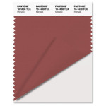 Pantone® TCX SWATCH  (10 x 20 cm)