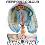 Viewpoint Colour #10