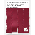 Pantone® TCX Swatch 4 stripes (4 x 2,5 x 20 cm)