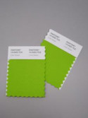 Pantone® TCX Swatch Mini Cards (2 stuks, 5 x 10 cm)