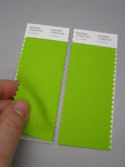 Pantone® TCX Swatch 2 stripes (2 x 5 x 20 cm)