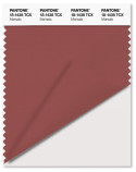 Pantone® TCX SWATCH  (10 x 20 cm)