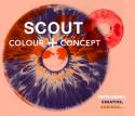Scout Women Colour & Concept A/W 2022-2023
