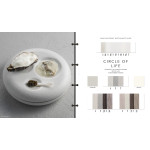 A+A Concept | Color Trends 24.2