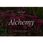 Luminary #34| - Alchemy A/W 2027-28