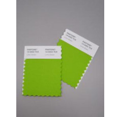 Pantone® TCX Swatch Mini Cards (2 stuks, 5 x 10 cm)