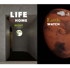 Scout LIFE + HOME | Colour & Concept AW 23:24