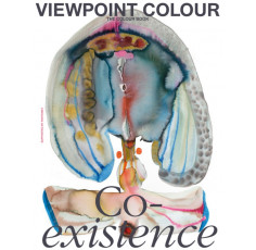 Viewpoint Colour #10