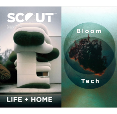 Scout LIFE + HOME AW 25/26