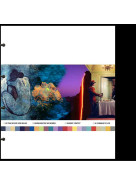 A+A Life in Color | Color & Lifestyle SS 2026 - 26.2