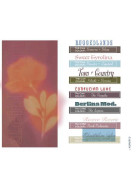 D.Cipherfm Women Colour & Trend A/W 27/28