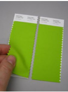 Pantone® TCX Swatch 2 stripes (2 x 5 x 20 cm)