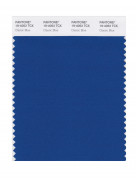 Pantone® TCX SWATCH  (10 x 20 cm)