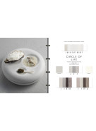 A+A Concept | Color Trends 24.2