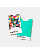 Pantone® Color Match Card | Single Card