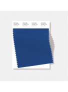 Pantone® TCX SWATCH  (10 x 20 cm)