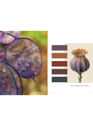 Trend Union Colours SS 2026 | ANALOGY OF FLOWERS