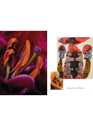 Trend Union Colours SS 2026 | ANALOGY OF FLOWERS
