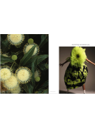 Trend Union General Trends SS 2026 | Anatomy of Fluidity| Lidewij Edelkoort