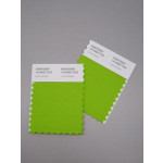 Pantone® TCX Swatch Mini Cards (2 stuks, 5 x 10 cm)