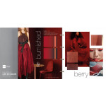 A+A Life in Color A/W 2021.2022