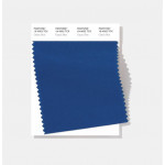 Pantone® TCX SWATCH  (10 x 20 cm)