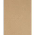 Trend Union General Trends A/W 2022-2023 | INSPIRATION | Lidewij Edelkoort